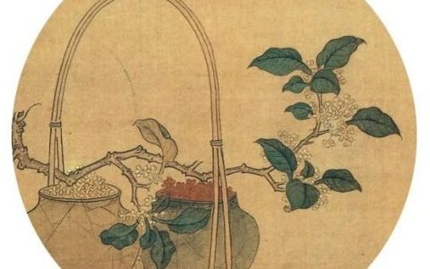 轻松了解中国插花史