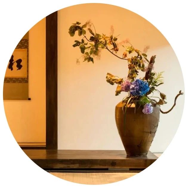 室无花不幽
