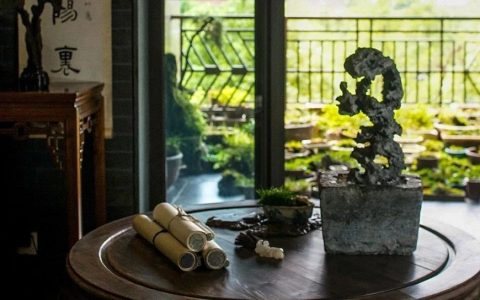 我有阳台，得以逍游