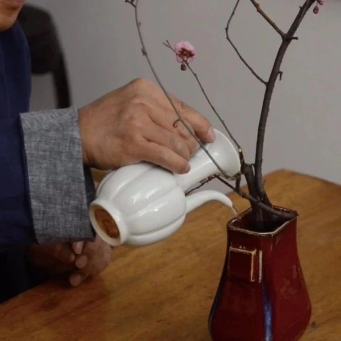 瓶花的保养