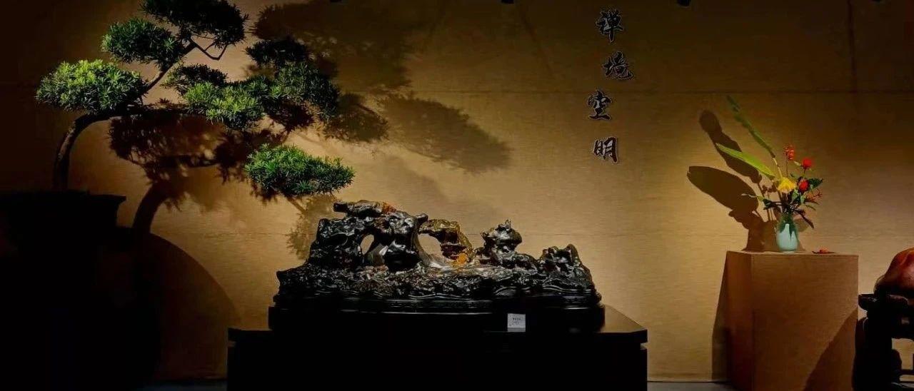 张卫：美在干净