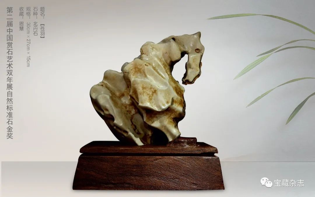 景男：石展赏石作品评奖办法之创新。