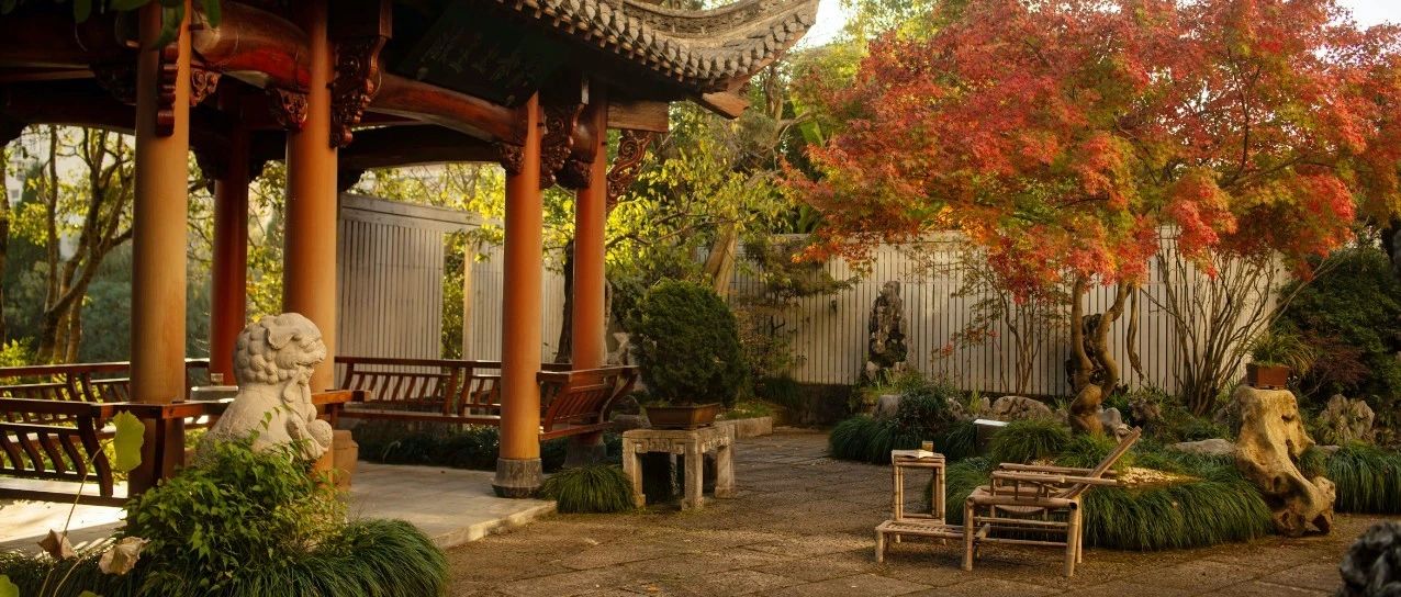 庭院深深，多少极致之美