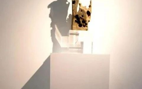 赵德奇：石非石，一次高辨识度的赏石展示