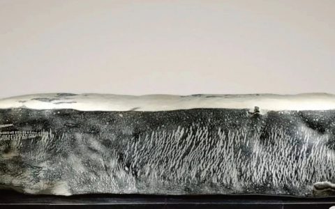 景男：石展赏石作品评奖办法之创新。