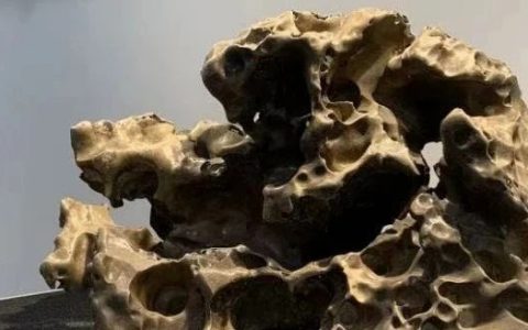 【文汇报】早在唐代已成风气，这种独具东方哲学韵味的生活艺术首次登陆上海艺博会