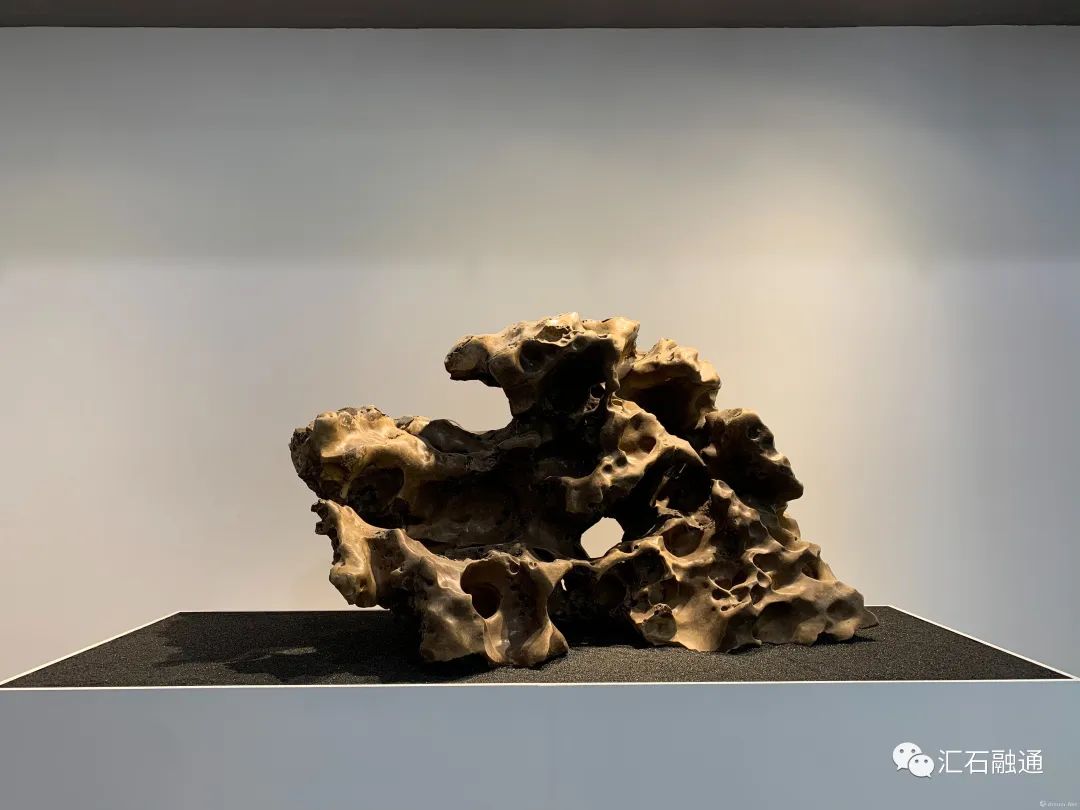 【雅昌快讯】它已等你几亿年：24方收藏级赏石亮相上海艺博会