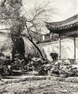 赏石_观赏石_奇石_石头_收藏_文化_艺术_玩石迷0-1629557044