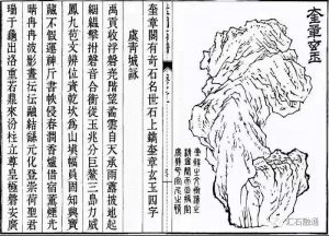 赏石_观赏石_奇石_石头_收藏_文化_艺术_玩石迷1-1629556610