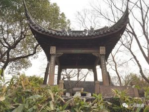 赏石_观赏石_奇石_石头_收藏_文化_艺术_玩石迷1-1629556763