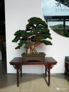 赏石_观赏石_奇石_石头_收藏_文化_艺术_玩石迷1-1629558424