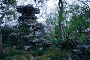 赏石_观赏石_奇石_石头_收藏_文化_艺术_玩石迷1-1629639570