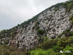 赏石_观赏石_奇石_石头_收藏_文化_艺术_玩石迷10-1629556893