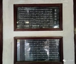 赏石_观赏石_奇石_石头_收藏_文化_艺术_玩石迷10-1629556899