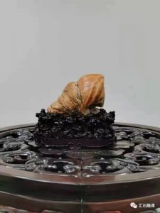 赏石_观赏石_奇石_石头_收藏_文化_艺术_玩石迷2-1629556594