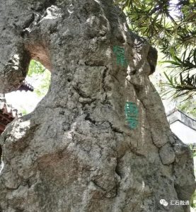 赏石_观赏石_奇石_石头_收藏_文化_艺术_玩石迷2-1629557033