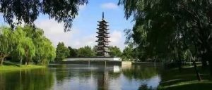 赏石_观赏石_奇石_石头_收藏_文化_艺术_玩石迷2-1629558519