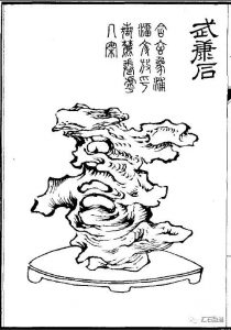 赏石_观赏石_奇石_石头_收藏_文化_艺术_玩石迷3-1629556611