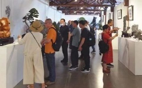 云间赏石底蕴深