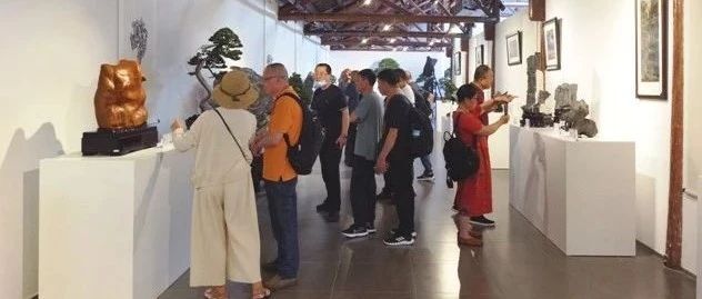 云间赏石底蕴深