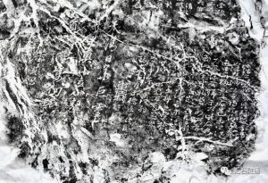 赏石_观赏石_奇石_石头_收藏_文化_艺术_玩石迷3-1629556761