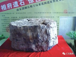 赏石_观赏石_奇石_石头_收藏_文化_艺术_玩石迷4-1629556784