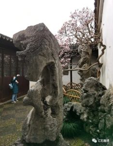 赏石_观赏石_奇石_石头_收藏_文化_艺术_玩石迷4-1629557035