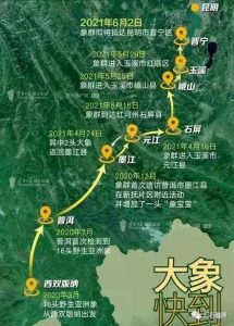 赏石_观赏石_奇石_石头_收藏_文化_艺术_玩石迷6-1629556682