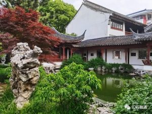 赏石_观赏石_奇石_石头_收藏_文化_艺术_玩石迷6-1629556765