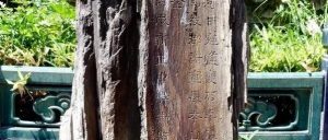 赏石_观赏石_奇石_石头_收藏_文化_艺术_玩石迷6-1629556870