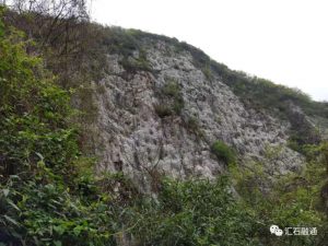 赏石_观赏石_奇石_石头_收藏_文化_艺术_玩石迷7-1629556912