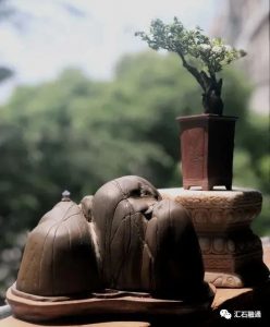 赏石_观赏石_奇石_石头_收藏_文化_艺术_玩石迷7-1629556984