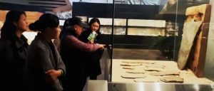 赏石_观赏石_奇石_石头_收藏_文化_艺术_玩石迷8-1629556641