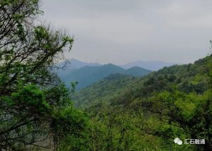 赏石_观赏石_奇石_石头_收藏_文化_艺术_玩石迷8-1629556893
