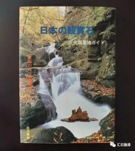 赏石_观赏石_奇石_石头_收藏_文化_艺术_玩石迷8-1629556967