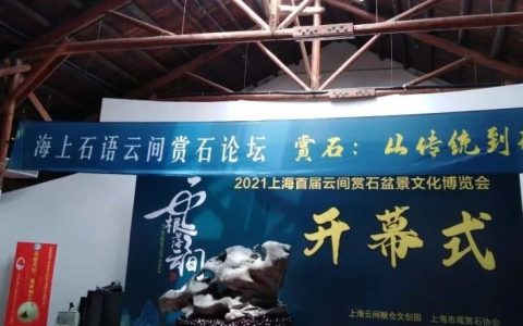 徐忠根 | 赏石艺术当代转型中的雅俗形态