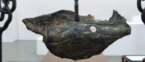 赏石_观赏石_奇石_石头_收藏_文化_艺术_玩石迷9-1629556590