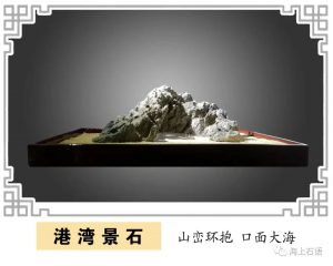 赏石_观赏石_奇石_石头_收藏_文化_艺术_玩石迷0-1641822007
