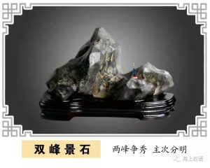 赏石_观赏石_奇石_石头_收藏_文化_艺术_玩石迷1-1641821991