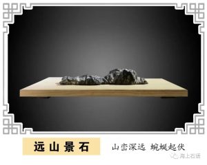 赏石_观赏石_奇石_石头_收藏_文化_艺术_玩石迷1-1641821993