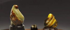 赏石_观赏石_奇石_石头_收藏_文化_艺术_玩石迷2-1641720446