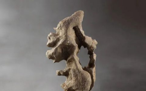 赏石何以成为艺术？