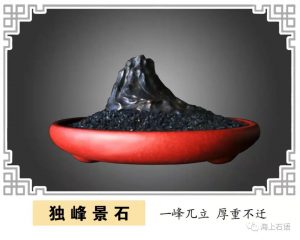 赏石_观赏石_奇石_石头_收藏_文化_艺术_玩石迷5-1641821990