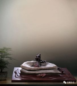 赏石_观赏石_奇石_石头_收藏_文化_艺术_玩石迷8-1641720329