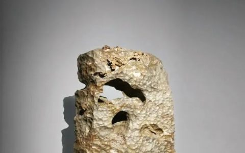 老有腔调的『苏州顾建华太湖石艺术馆』