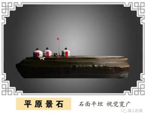 赏石_观赏石_奇石_石头_收藏_文化_艺术_玩石迷8-1641822009