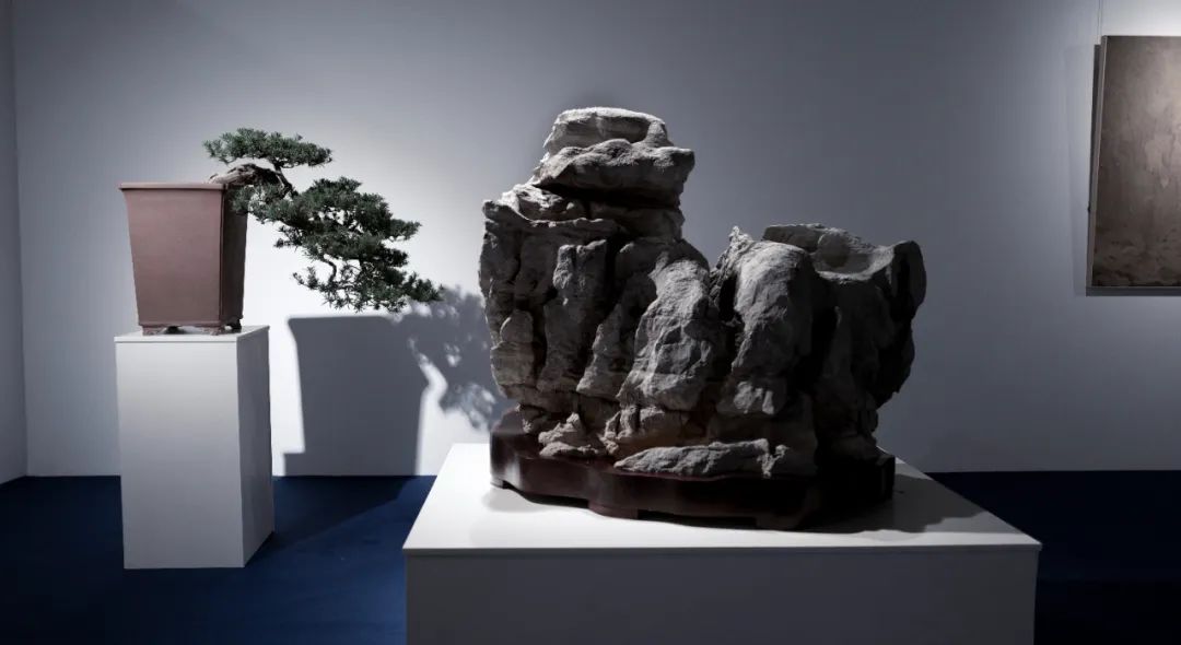 赵德奇：苏州“心象—赏石的视觉与观念”艺术展观感