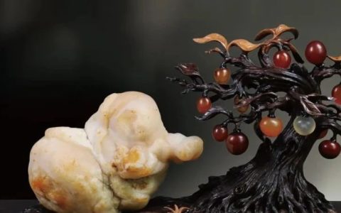观赏石鉴评要有哪些基本素质？