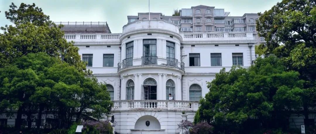 杜海鸥的白楼梦