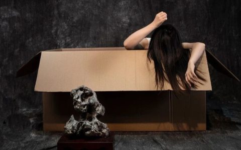 赵德奇：一文读懂上海观赏石协会究竟要办个什么样的展